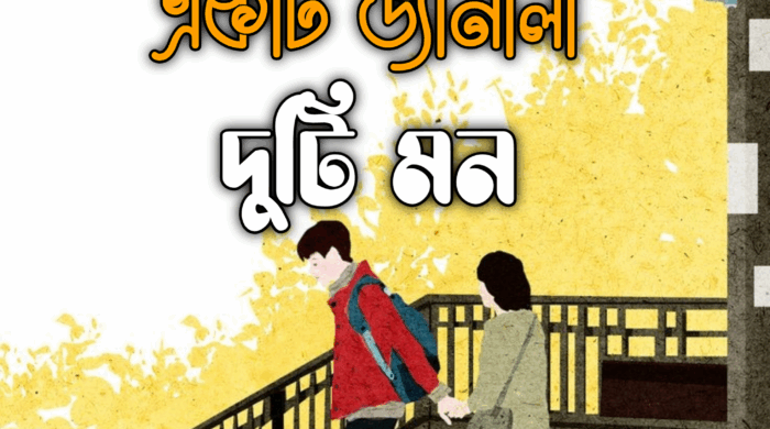 উপন্যাস: কি জানালা দুটি মন।